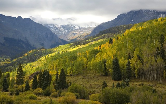 1440_900_20091122113847407938