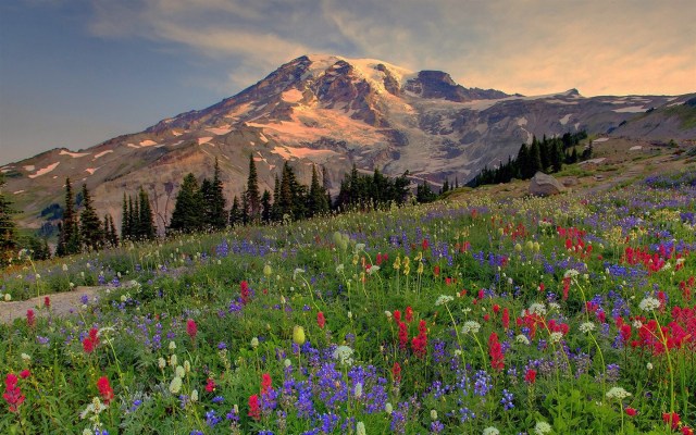 1440_900_20091123094947653528