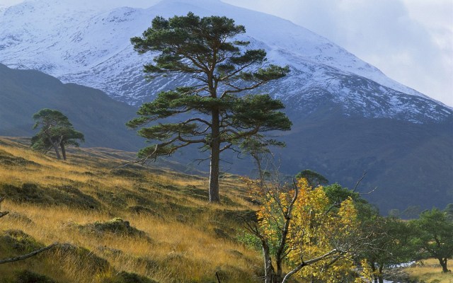 1440_900_20100317122924445834