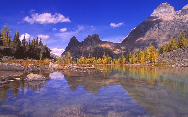 1440_900_20100317123146340073