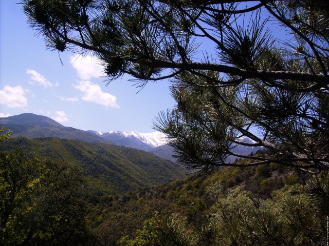 arles sur tech 17 5 2010 francoise 016