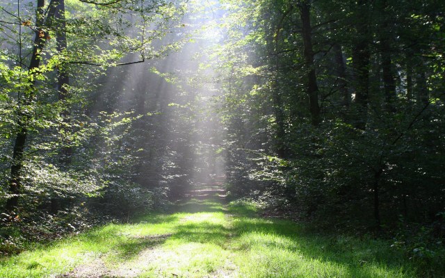 Autumn_Sun_2_by_deoroller