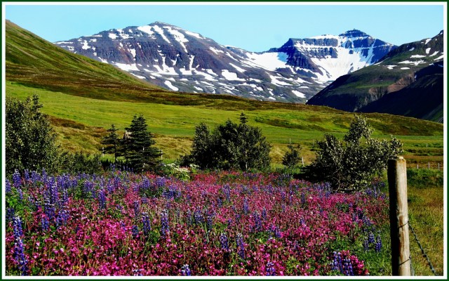 Fljt---North-Iceland