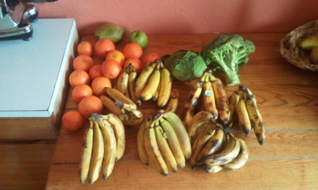 Freegan déchétarien