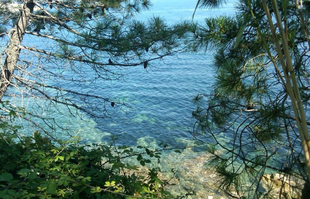 IMG00146-20110615-0451-sentier-du-littoral-view