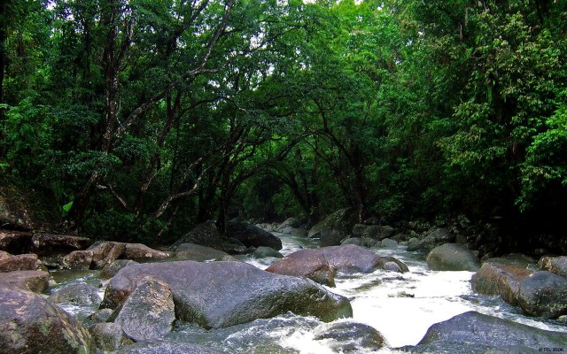 Josephine_Falls_by_Viagra_Injected