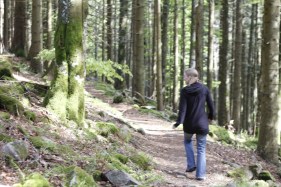 marche en forêt