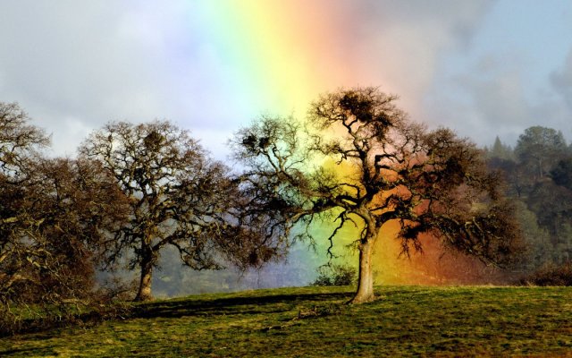 near-at-rainbow_92759-1440x900