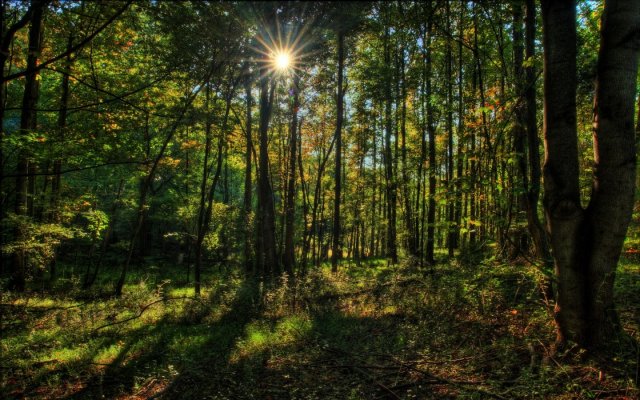 Sunburst_7486_1440_900