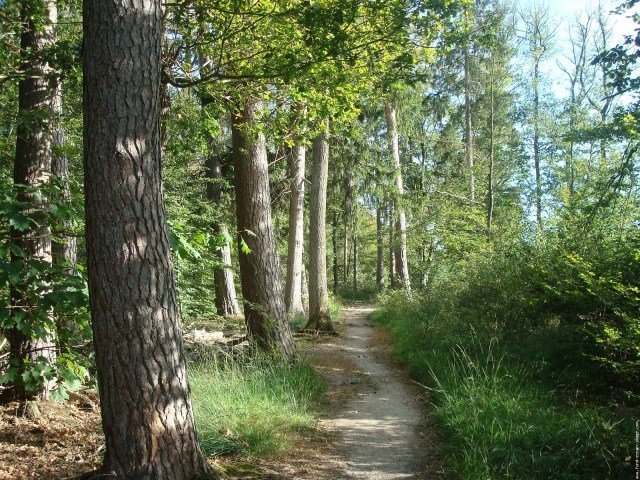tour-de-l-etang-de-st-bonnet-de-troncais-002