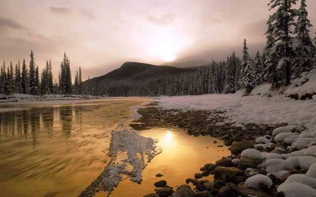 winter-nature-wallpaper-1440x900-0039