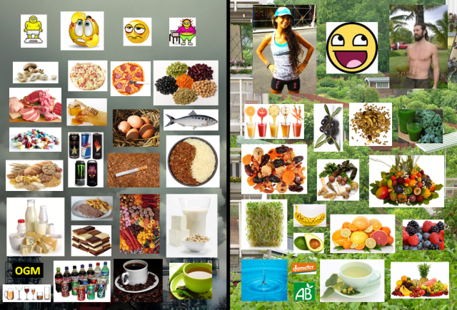 Comparaison régime classique / régime crudivore-végétalien