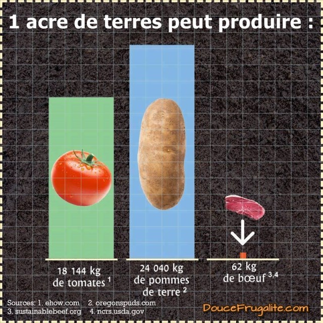 carré occupation des terres