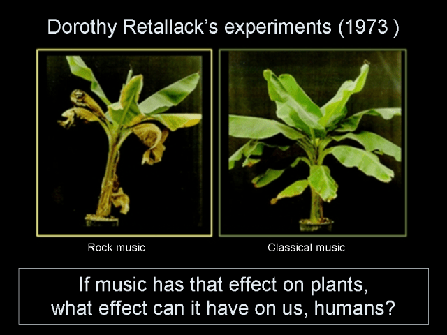 Dorothy Retallack's experiments (1973)