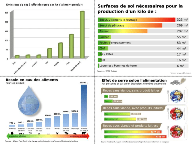 impact consommation viande végétal végétalien végétarien carniste préservation environnement pollution planète