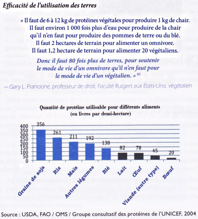 Surface et protéines