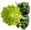 Brocoli et chou romanesco