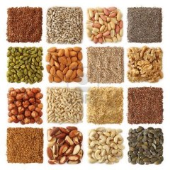 collection-de-graines-et-noix