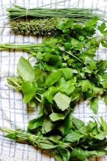 herbes fraiches