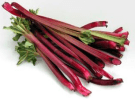 Rhubarbe