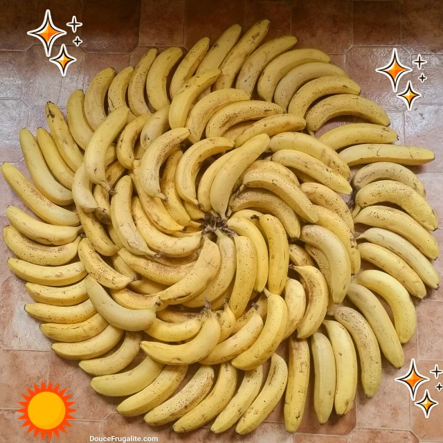 Mandala de bananes - plein de bananes en cercle