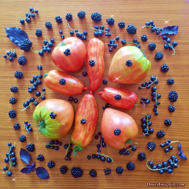 Tomates géantes, cassis et mûres