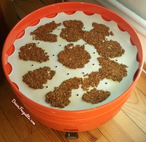 crackers au lin, curry, aneth