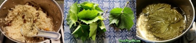 feuilles de vigne et riz