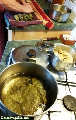 feuilles-de-vigne-aperçu-recette