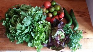 gardemanger légumes