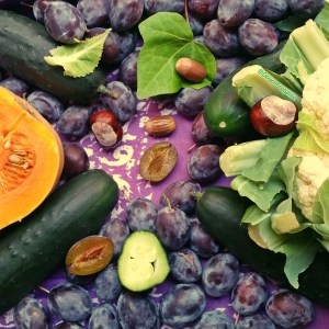 automne légumes fruit, marron, lierre, chou-fleur, courge, butternut, concombre, quetsche