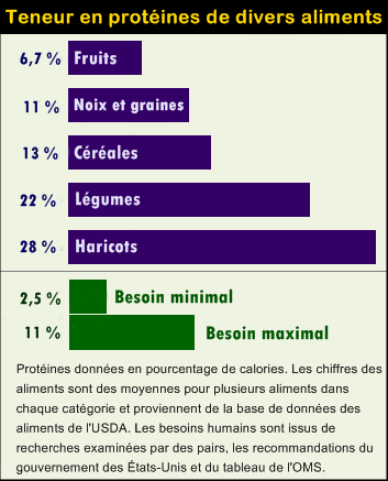 taux de protéines minimal et maximal. fruits, graines, noix, céréales, légumes, haricots