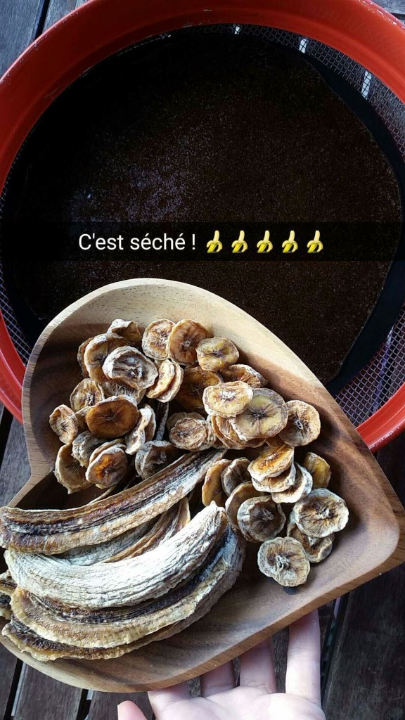 bananes déshydratées rondelles moitiés
