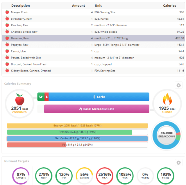 cronometer journee plutot fruits